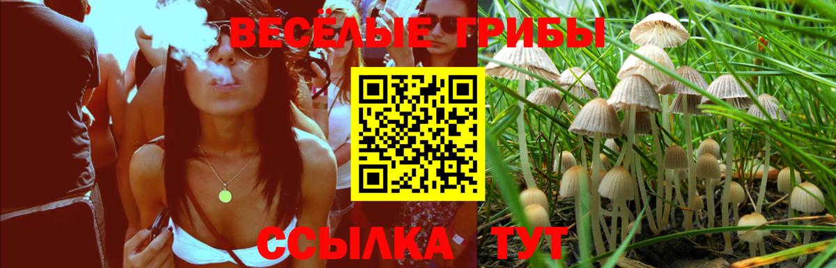 Назарово  Галлюциногенные грибы мухоморы  Вход с VPN  Галлюциногенные грибы прущие грибы 